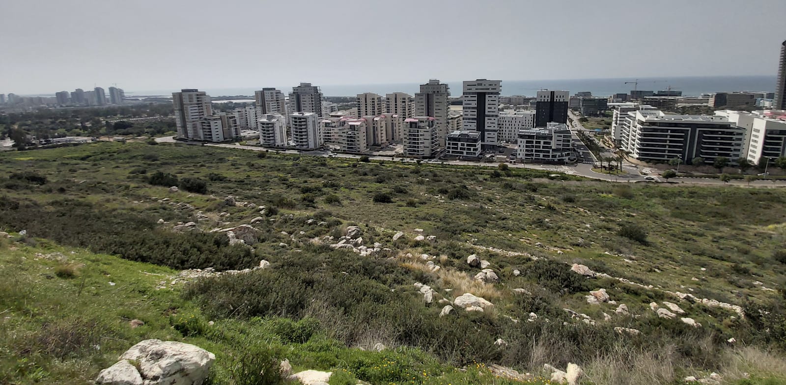 שכונת נאות פרס בחיפה / צילום: איל יצהר