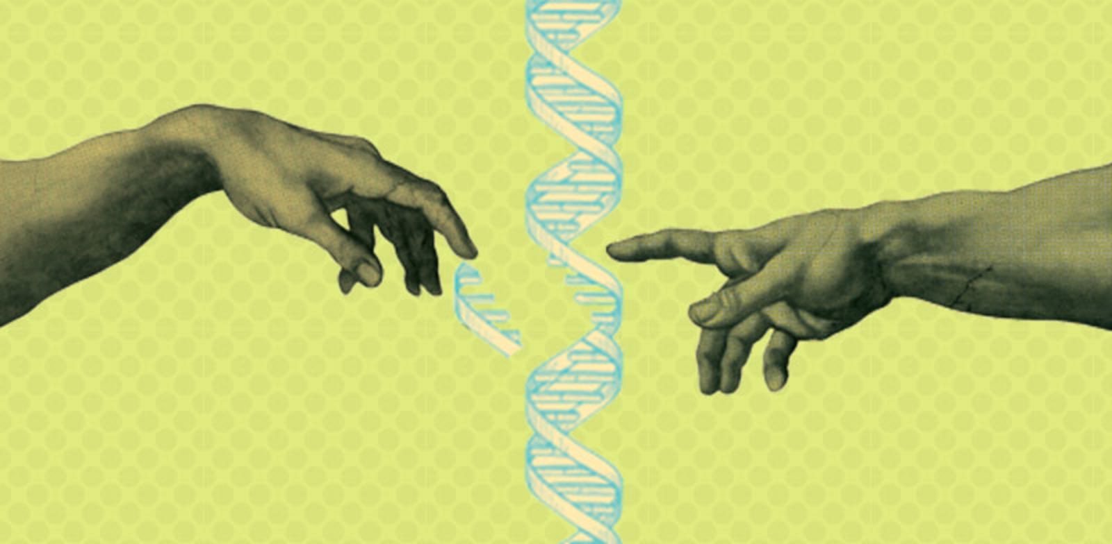 עריכה גנטית והמין האנושי / צילום: Shutterstock