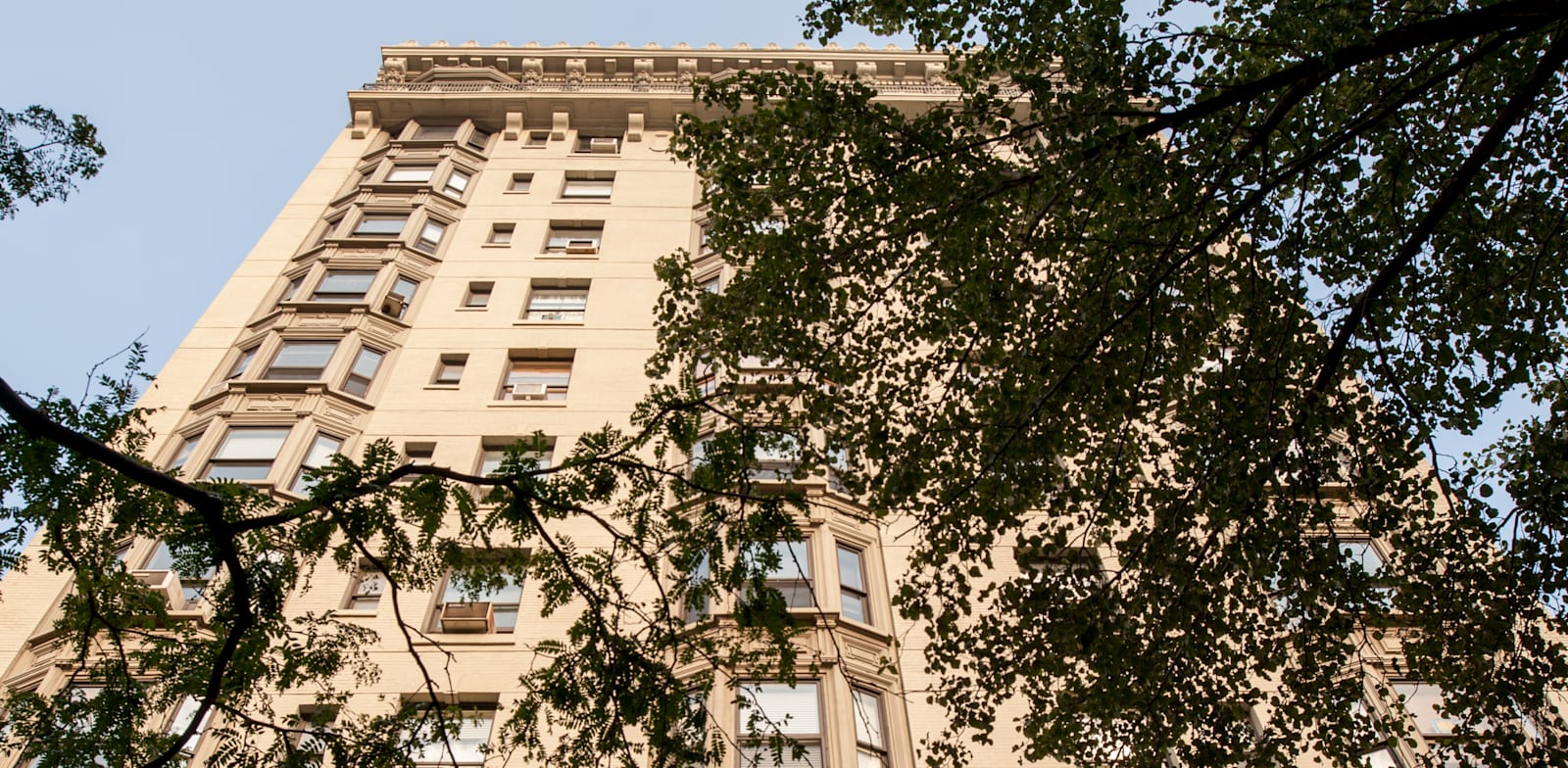 מהשקעותיה של פרופימקס / צילום: Profimex