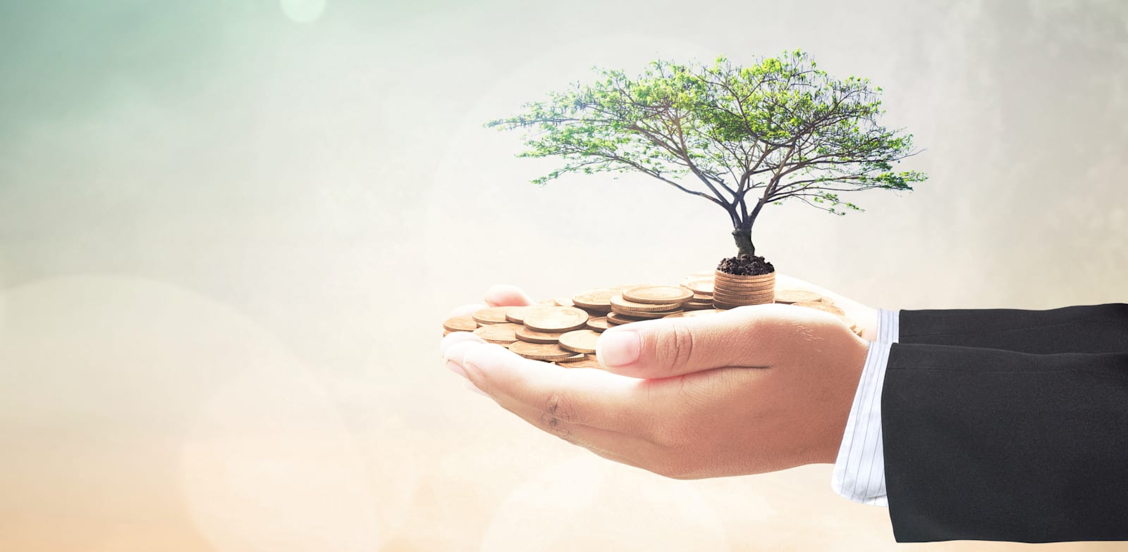 פילנתרופיה / אילוסטרציה: Shutterstock