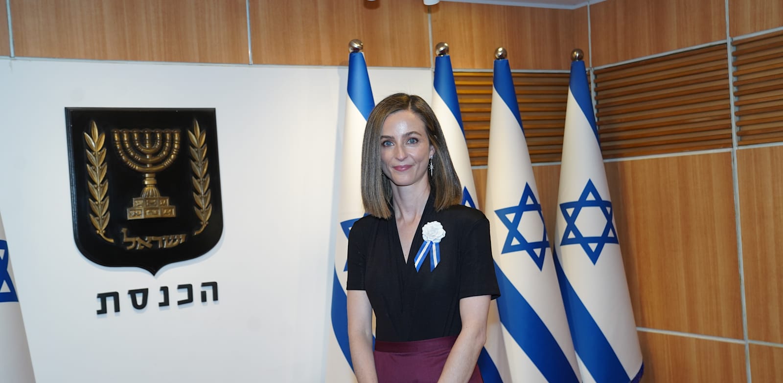 השרה לשוויון חברתי מירב כהן / צילום: דוברות הכנסת, דני שם טוב