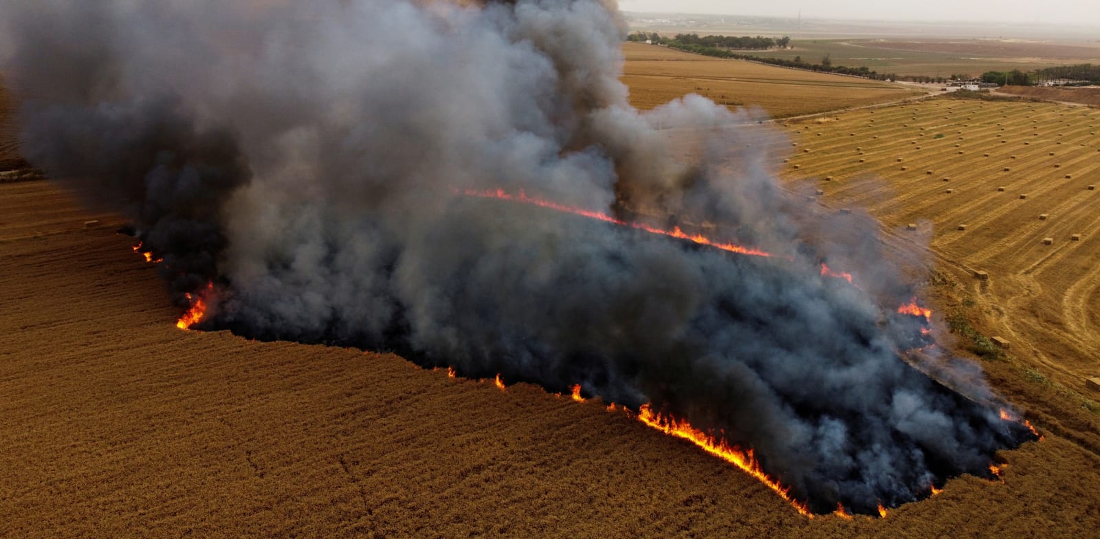 שדה חיטה ליד ניר עם עולה בלהבות לאחר שבלוני תבערה נשלחו מעזה / צילום: Shutterstock, Amir Cohen