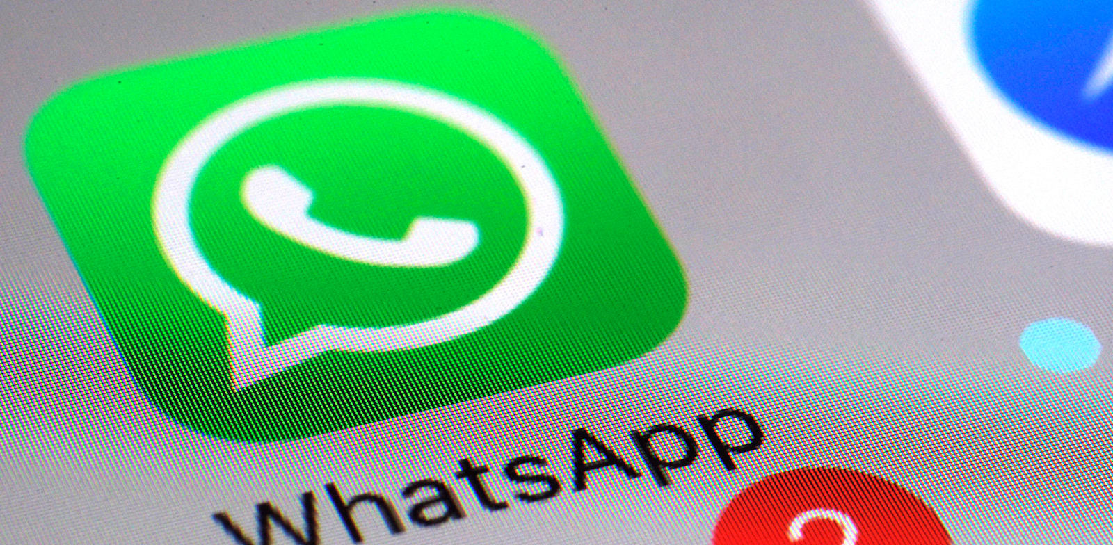 וואטסאפ. רשות הגנת המידע של המבורג  פירסמה את הצו בעקבות עדכון המדיניות האחרון שהוציאה החברה / צילום: Associated Press, Patrick Sison