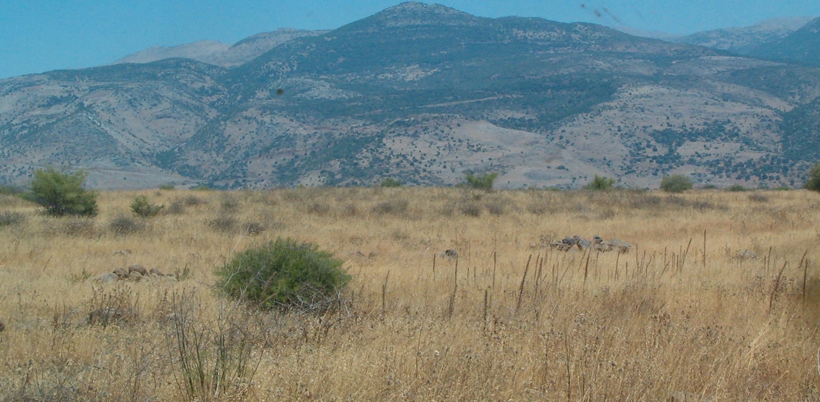 הר דב / צילום: תומר ש, ויקיפדיה