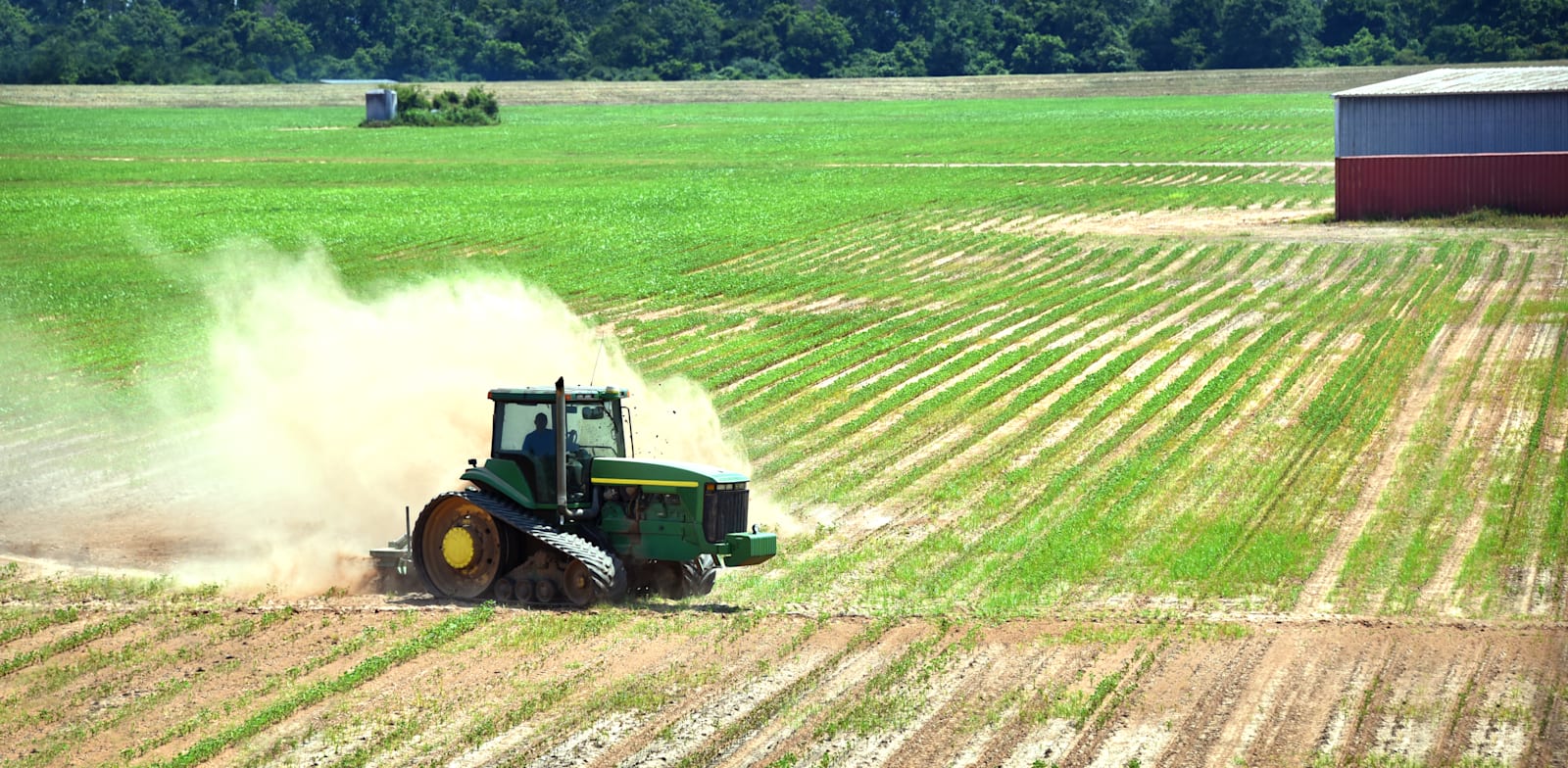 את העיוותים שקרטל החקלאים גורם, איש לא יוכל למזער / צילום: Shutterstock, Bonita R. Cheshier