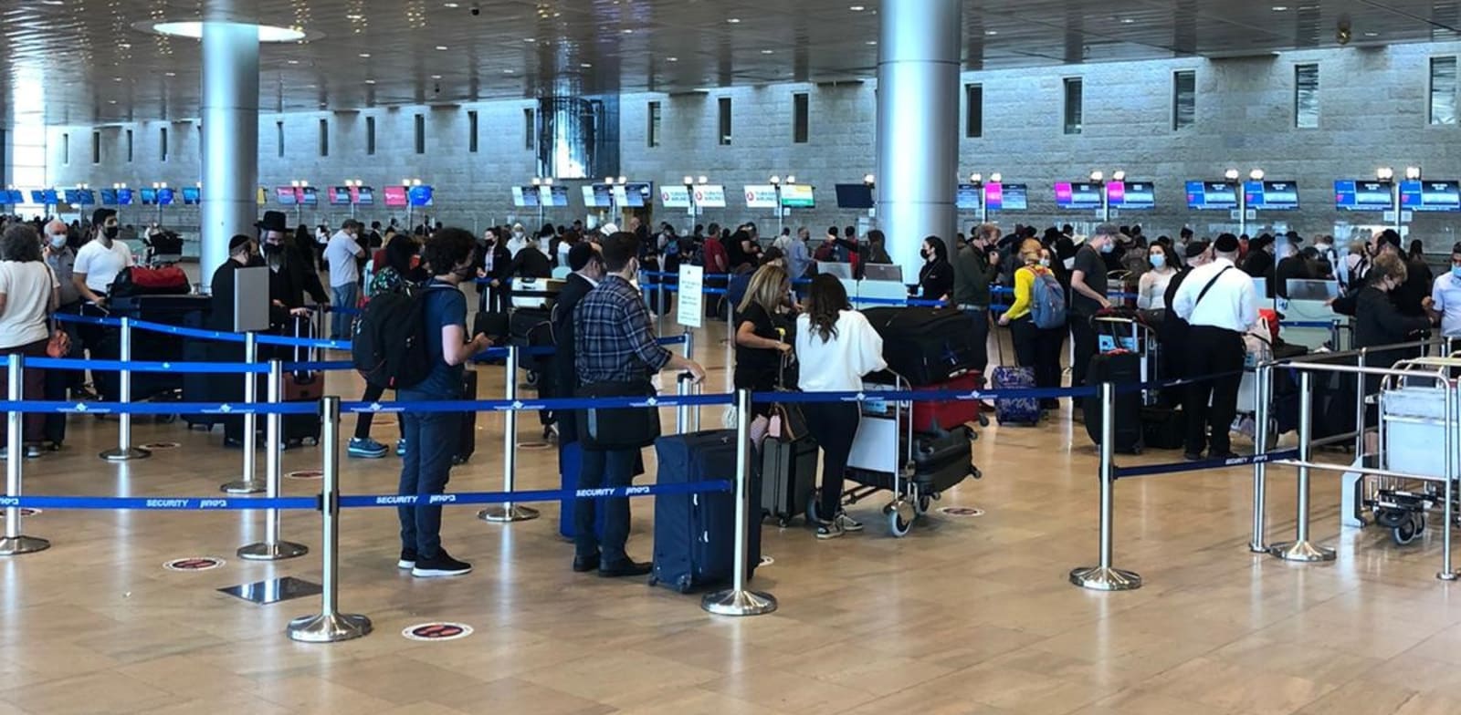 תור בנתב"ג / צילום: מיכל רז-חיימוביץ' 