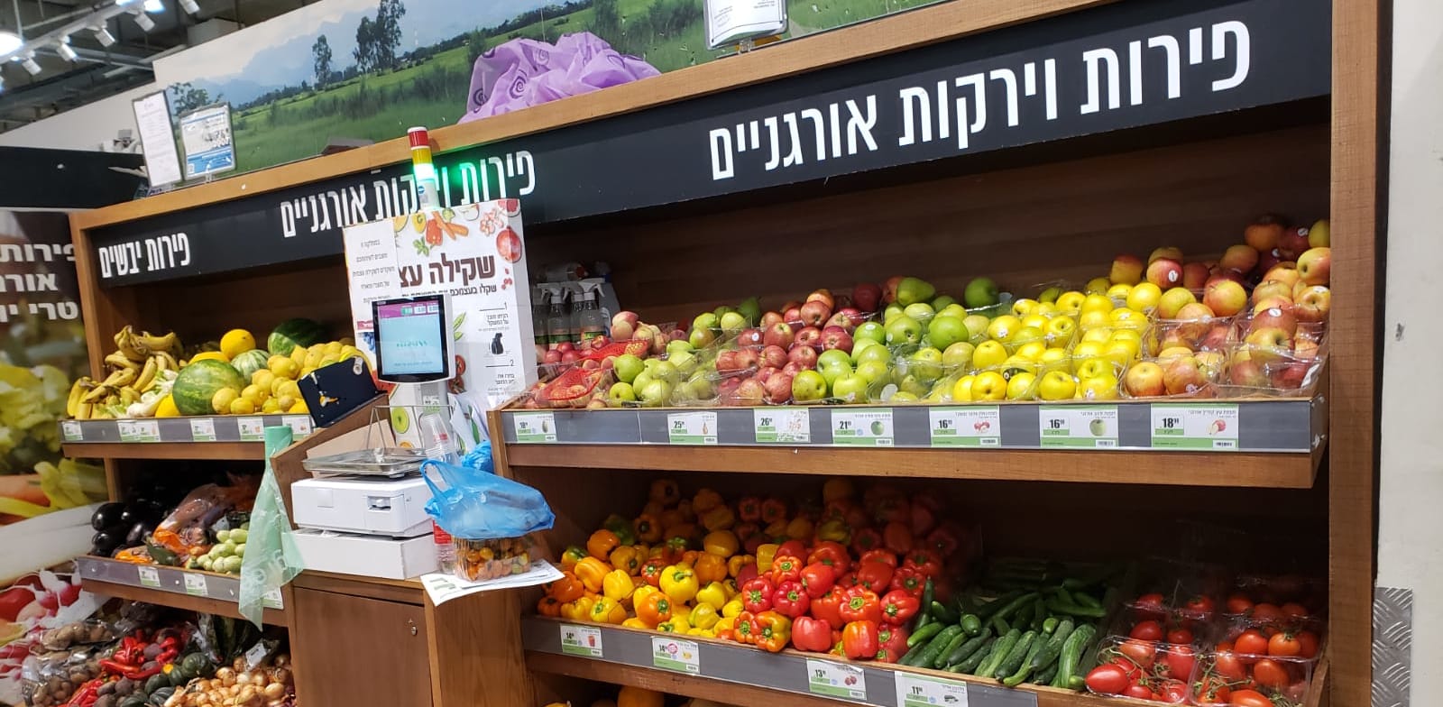 הורדת המכסים על פירות וירקות היא צעד ראשון ומרכזי בהורדה של יוקר המחיה / צילום: דלית אייזיק לויתן