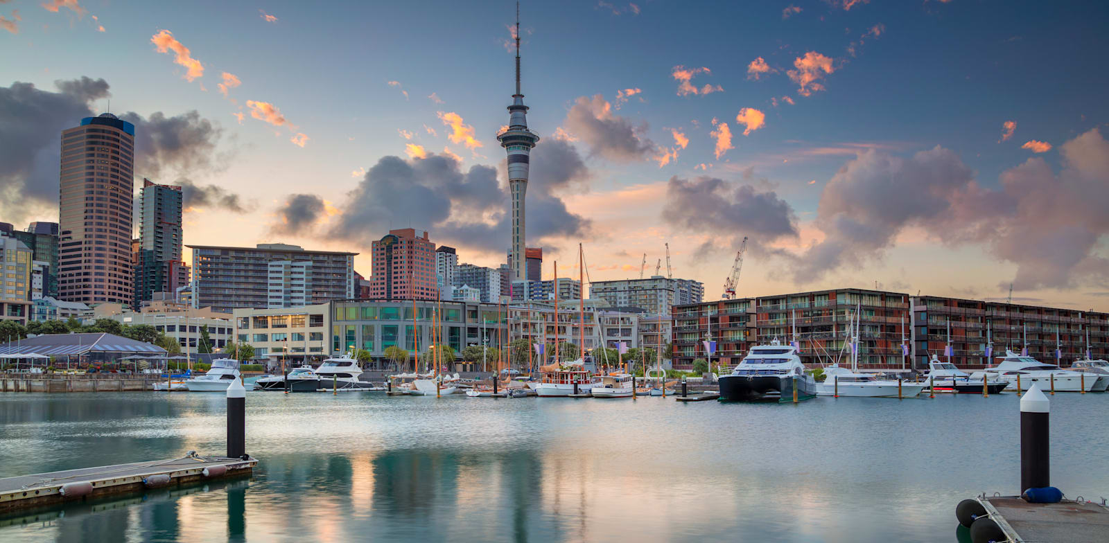 אוקלנד. בראש מדד הערים של מחלקת המחקר של האקונומיסט / צילום: Shutterstock, Rudy Balasko