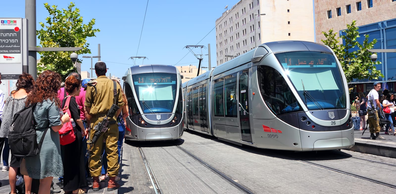 תורים בדרך לרכבת הקלה / צילום: Shutterstock