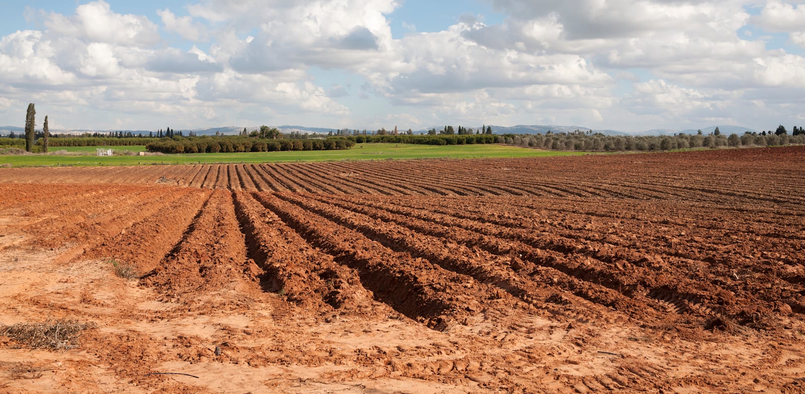 קרקע חקלאית / צילום: Shutterstock, pokku