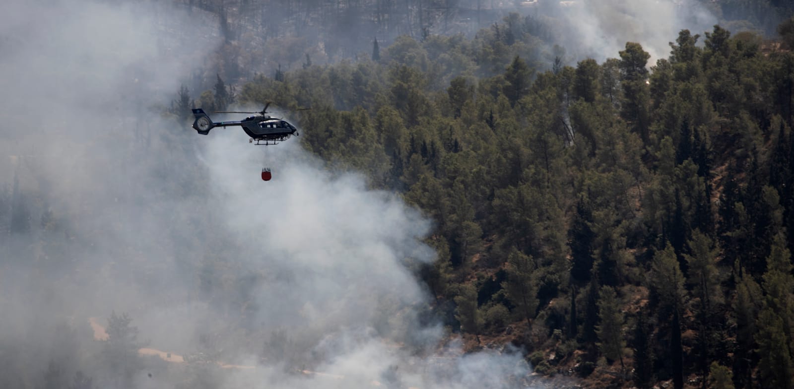 השריפה בהרי ירושלים / צילום: Associated Press, Maya Alleruzzo