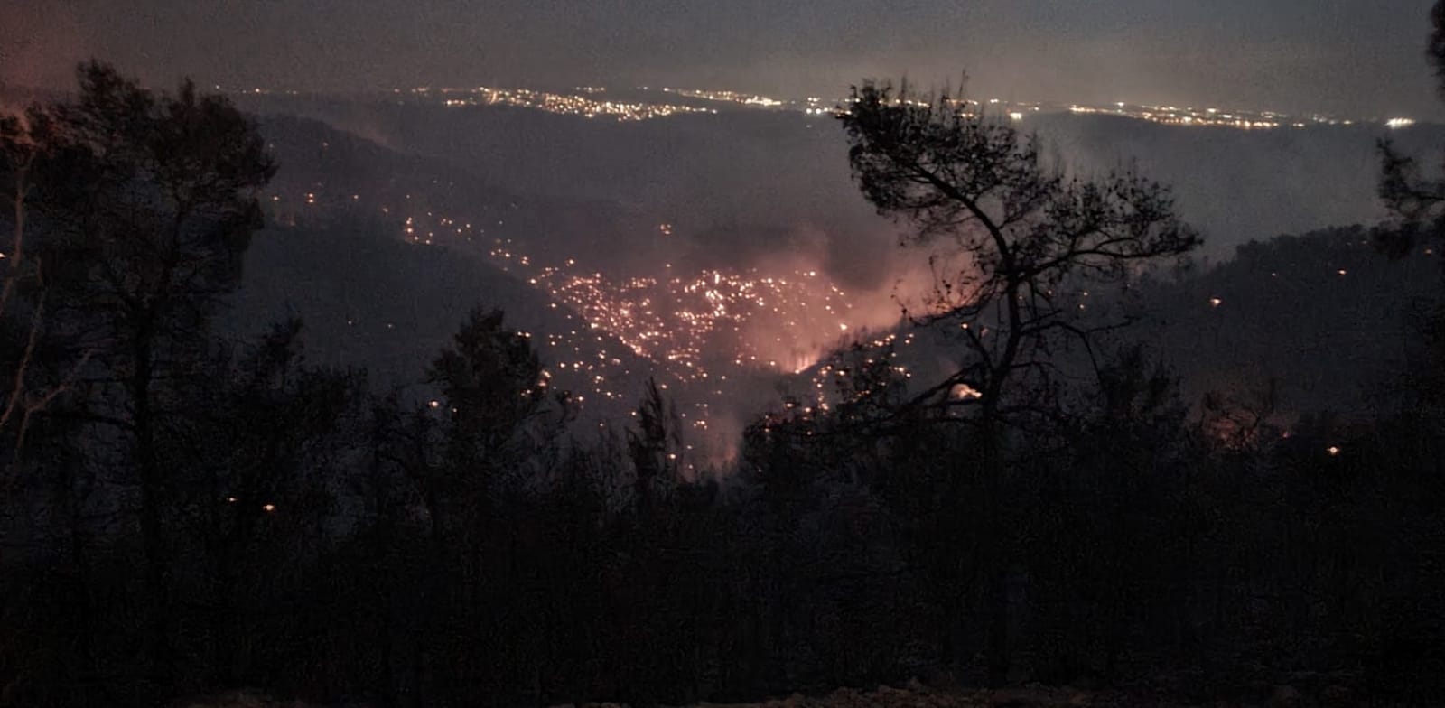 מוקדי השריפה בנחל צובה בין הר טייסים להר איתן / צילום: רועי שטראוס, רשות הטבע והגנים