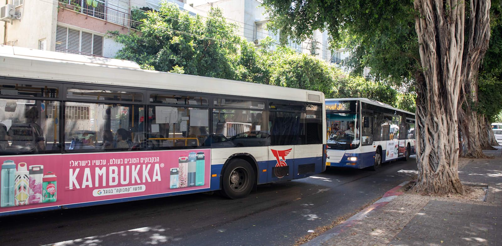 תנועת אוטובוסים שעברה מרחוב דיזנגוף לרחוב ריינס / צילום: כדיה לוי