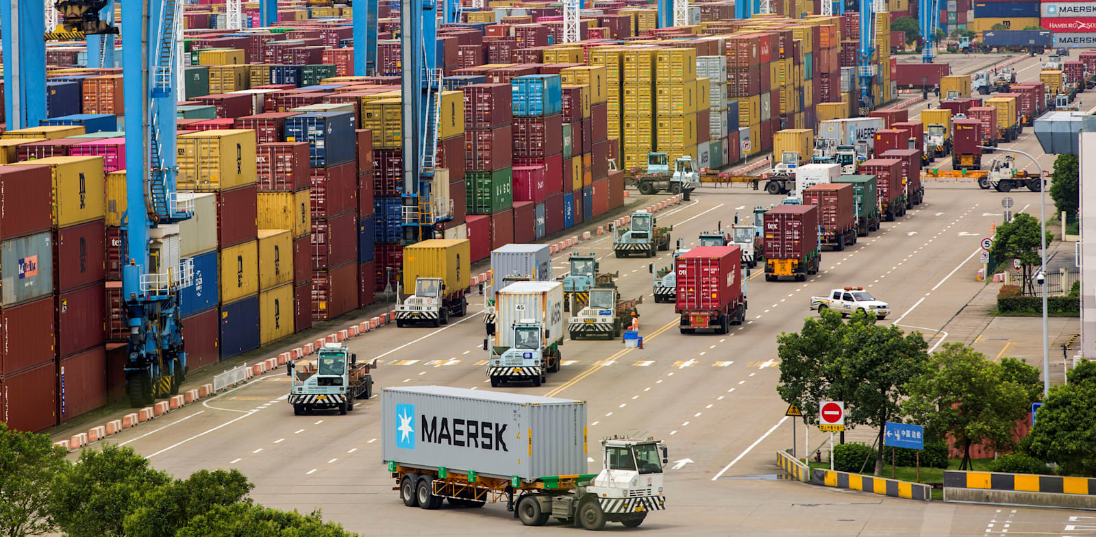 משאיות במסוף המכולות בנמל נינגבו החודש, שער היצוא הגדול בעולם של חלקי רכב מושבת בחלקו / צילום: Reuters, STRINGER