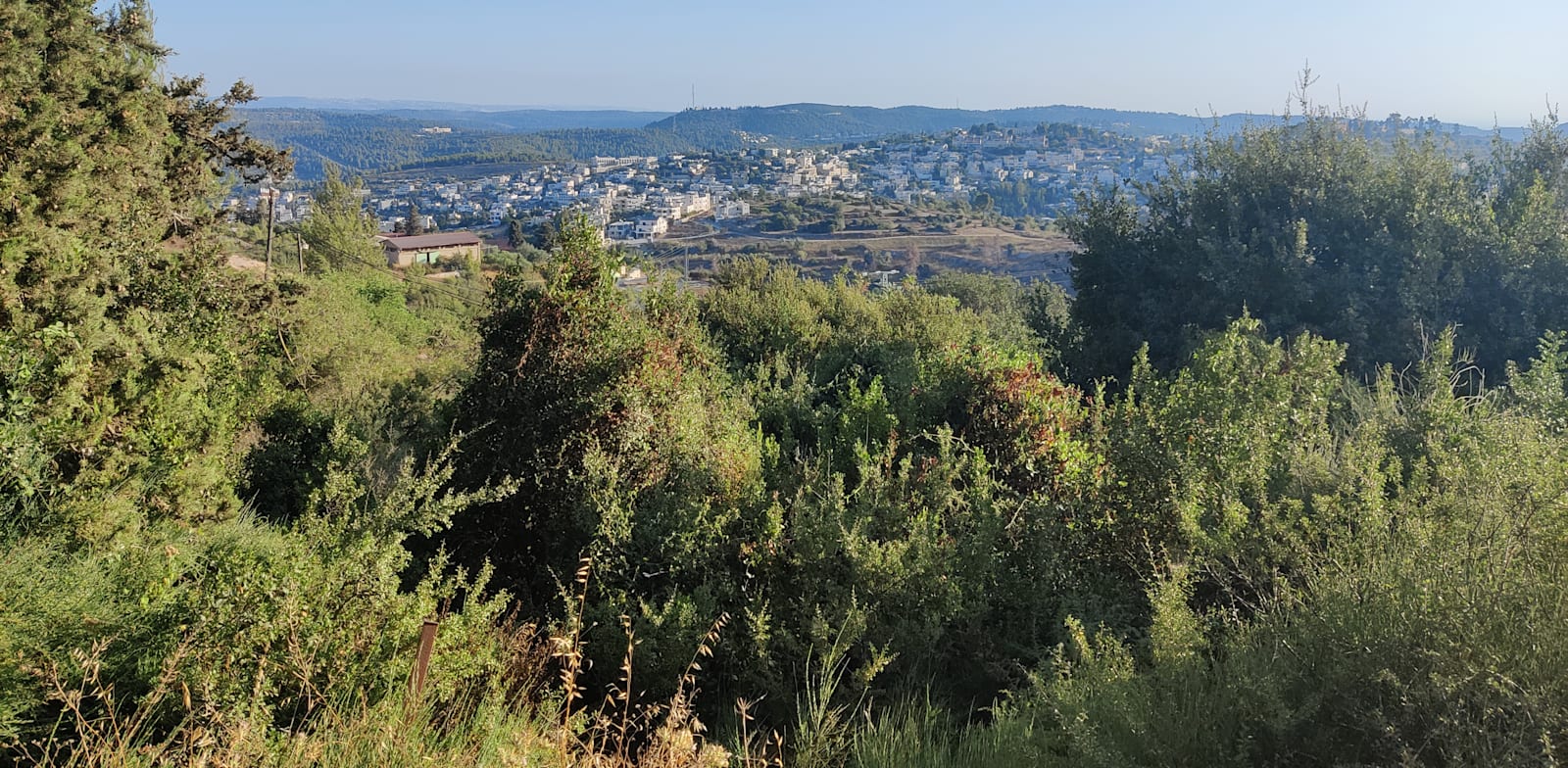 גן לאומי הרי יהודה, החלק הצפוני / צילום: אורלי גנוסר