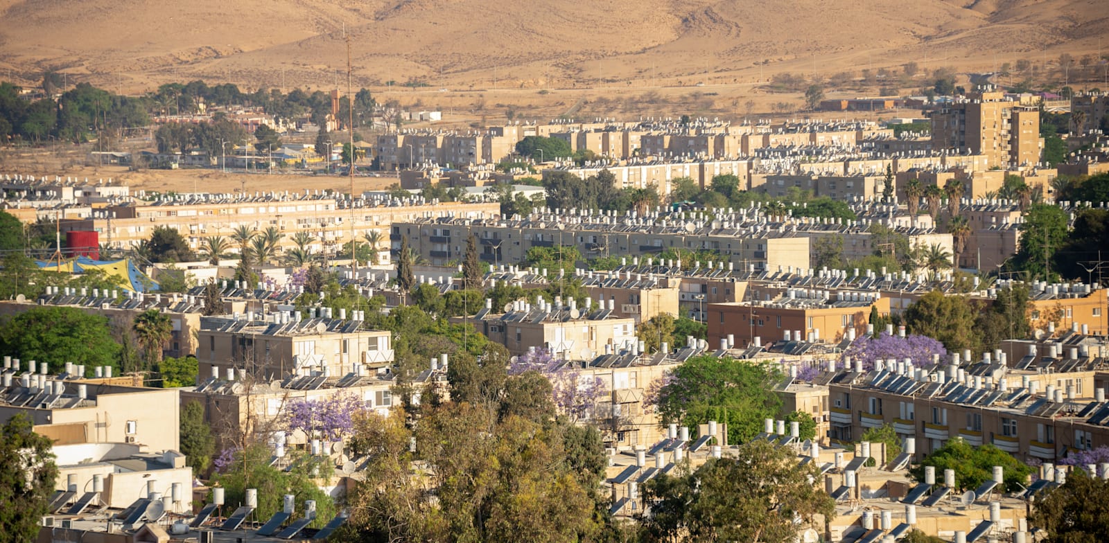 דימונה. המדינה לא עושה מספיק כדי לקדם את האזורים הפריפריאליים ולהפוך אותם למוקד פורה של ההייטק הישראלי / צילום: Shutterstock