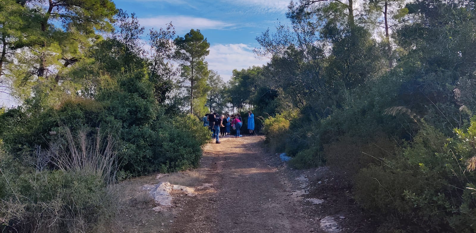 עג'ר / צילום: נתלי תמיר