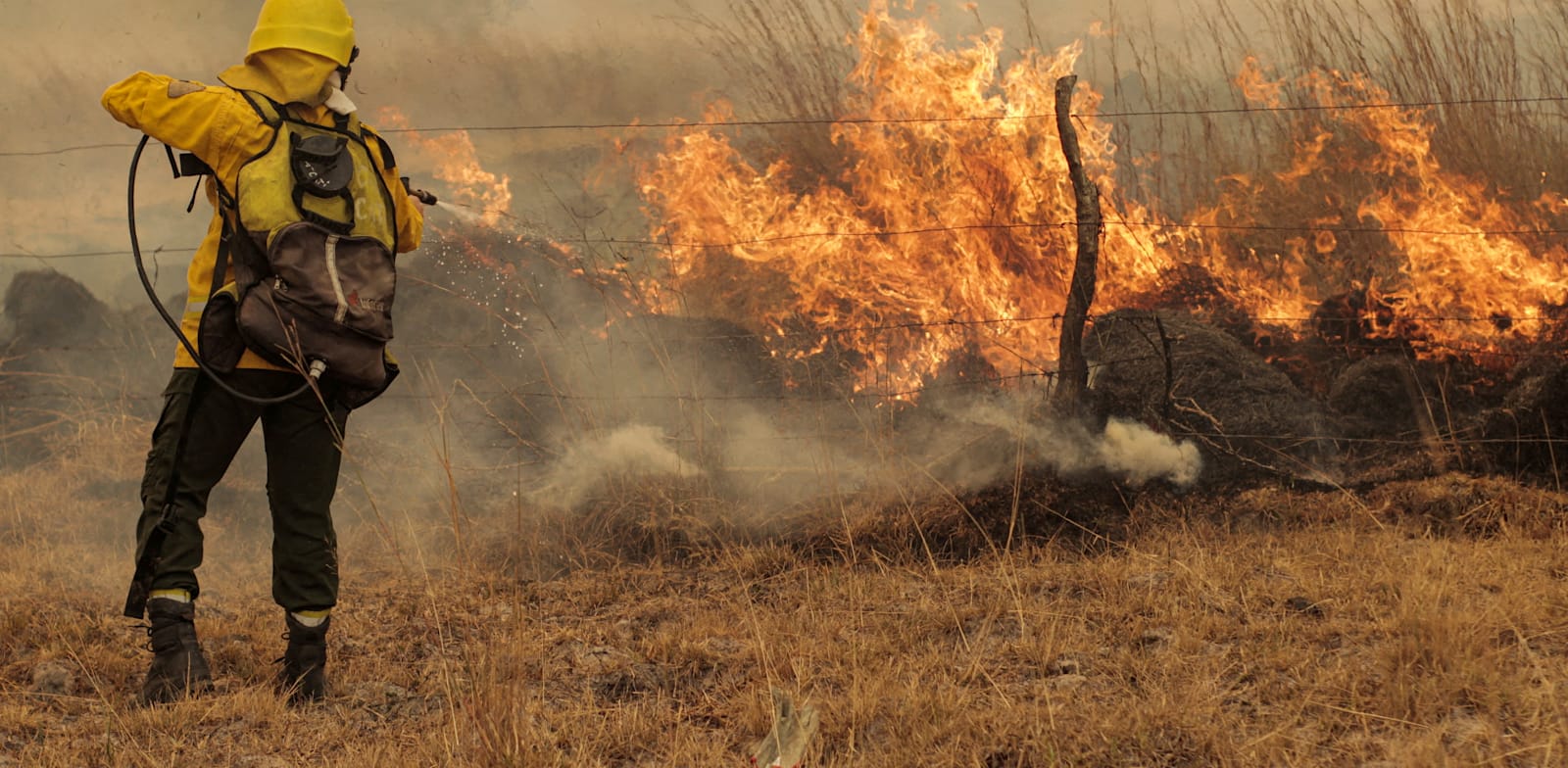 שריפה ביערות בצפון ארגנטינה / צילום: Reuters, Sebastian Toba