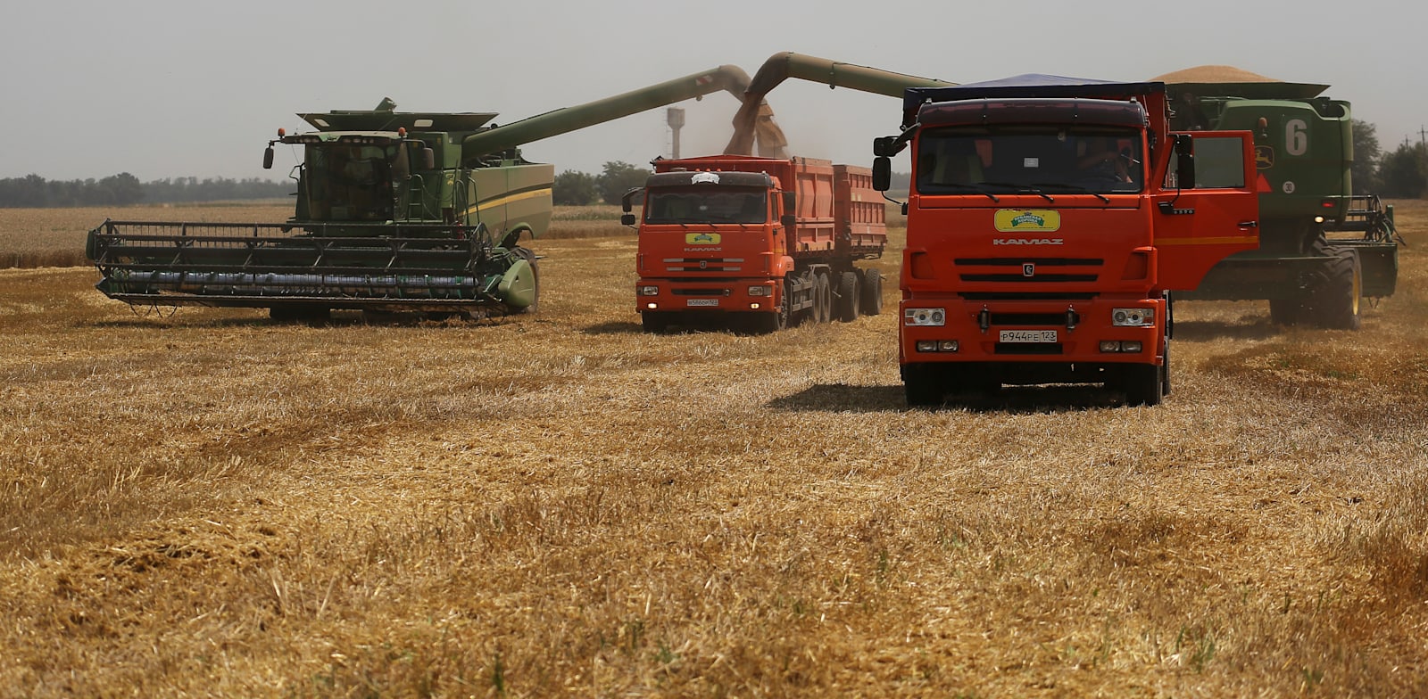 שדה חיטה ברוסיה / צילום: Associated Press, Vitaly Timkiv