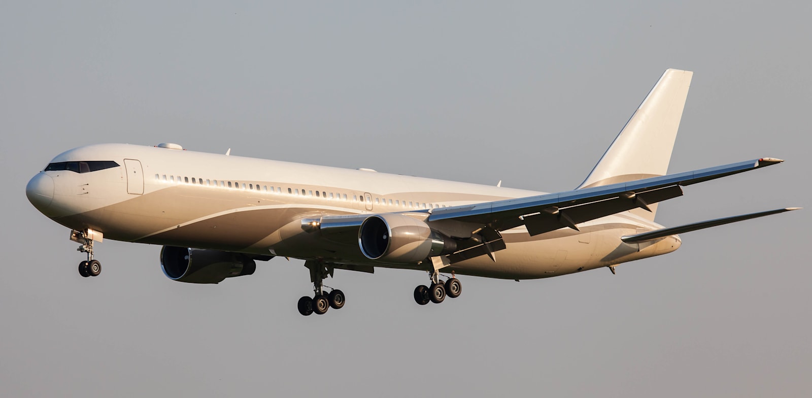 מטוסו הפרטי של האוליגרך רומן אברמוביץ' / צילום: Shutterstock, Vladislav Sinelnikov