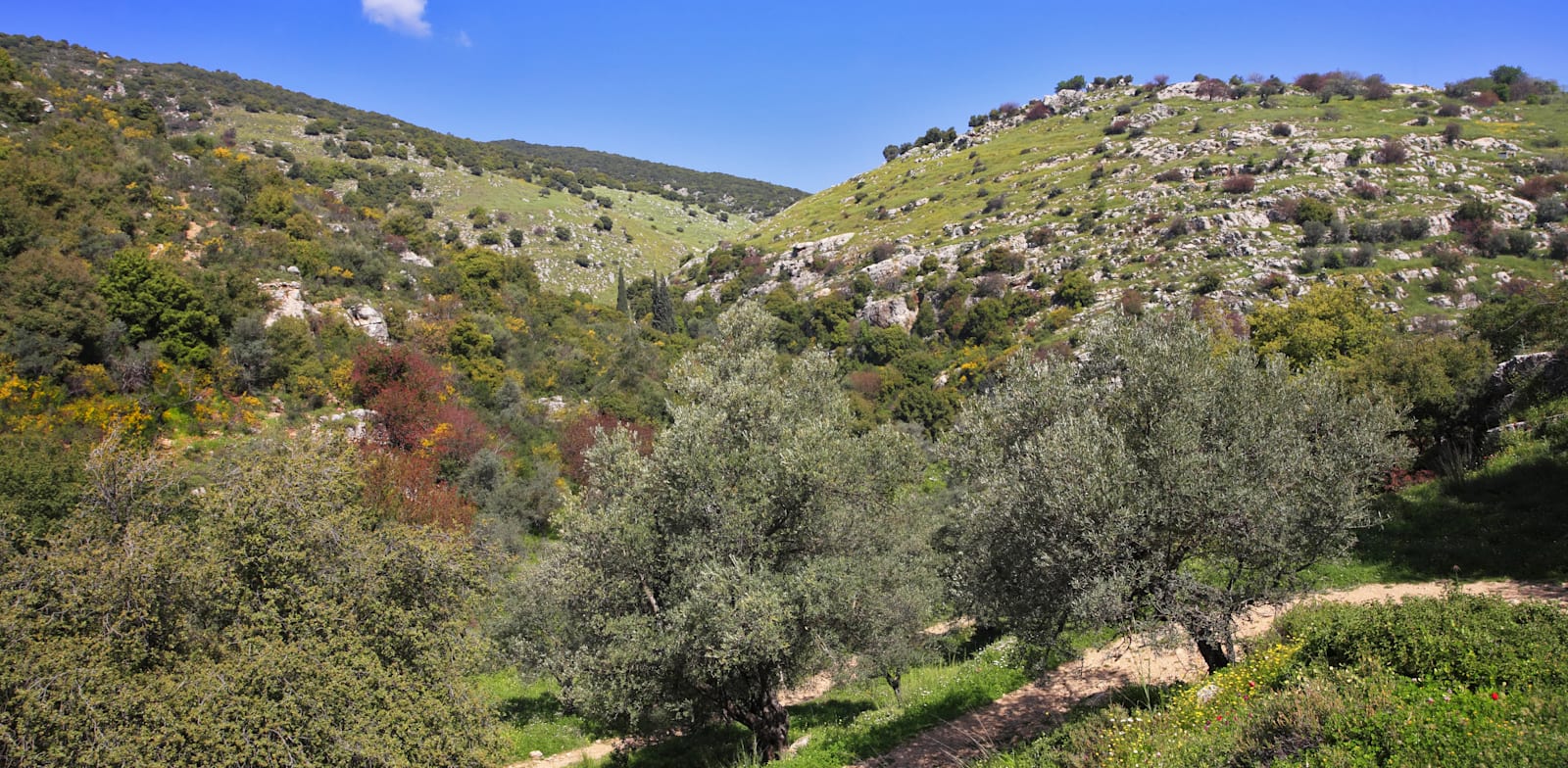 שביל הפסגה במירון. עתיר נקודות תצפית ונוף חלומי / צילום: Shutterstock