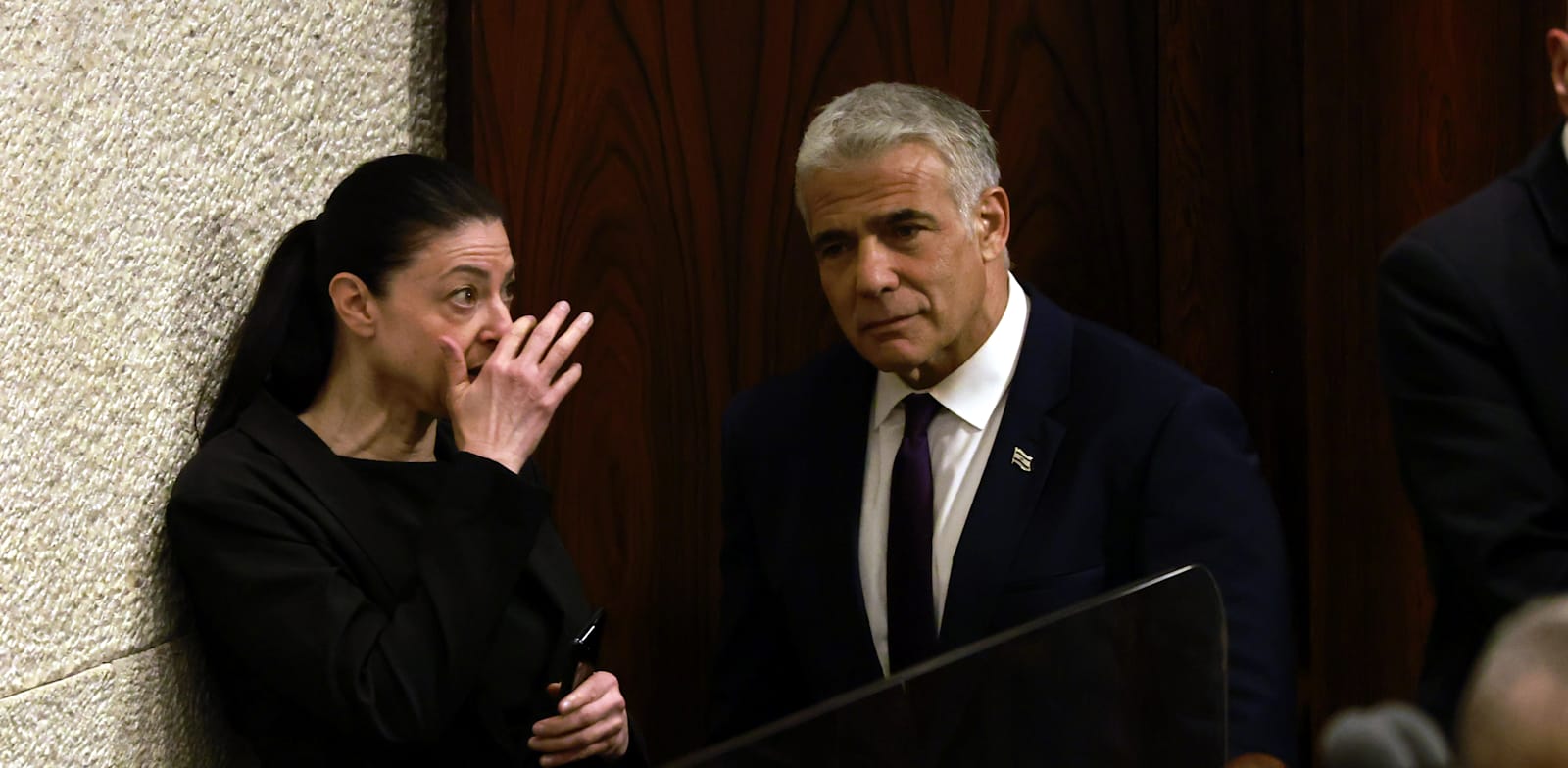 מרב מיכאלי ויאיר לפיד, בהצבעה על פיזור הכנסת / צילום: יוסי זמיר