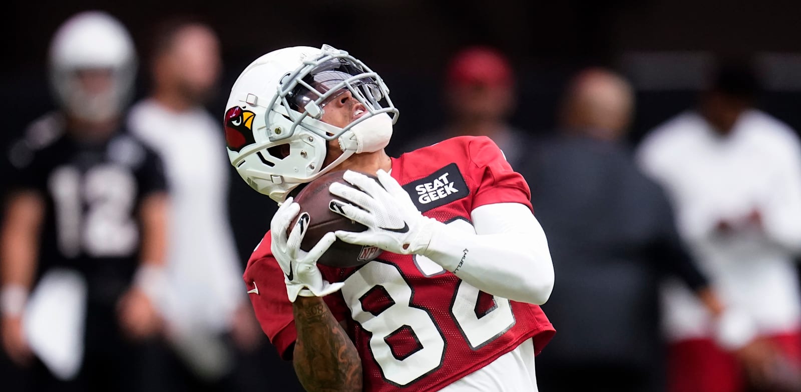 משחק פוטבול של Arizona Cardinals ב-NFL / צילום: Associated Press, Ross D. Franklin