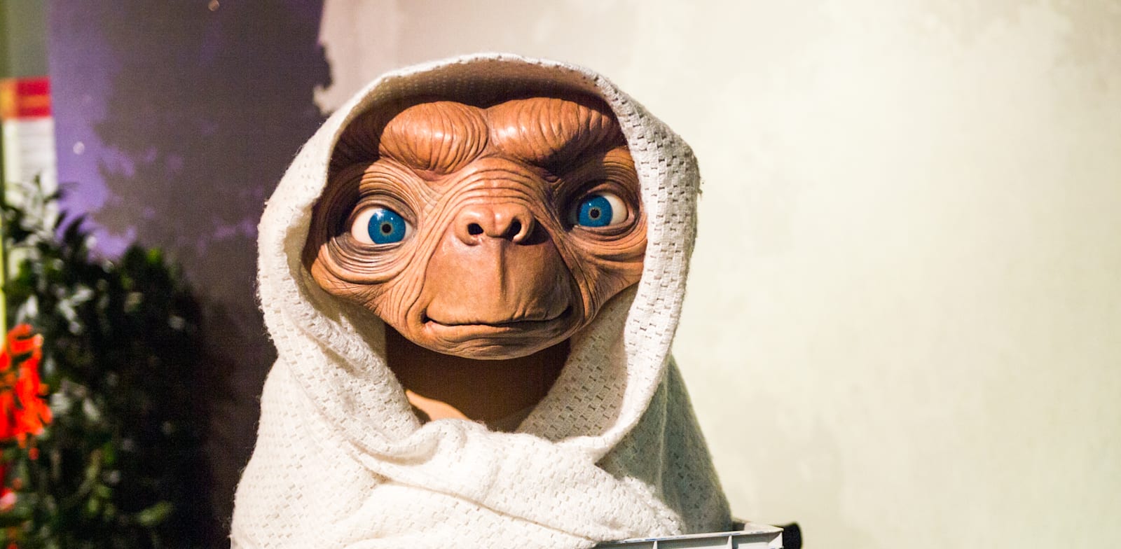 E.T. מה מקור השם? / צילום: Shutterstock