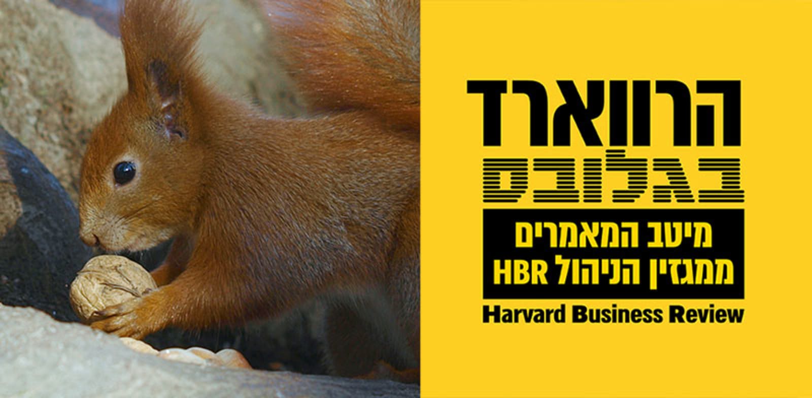 הצעד הראשון ללמידה באמצעות הנדסה לאחור הוא להתחיל אוסף של דוגמאות מצטיינות שכדאי לנתח / צילום: Unsplash