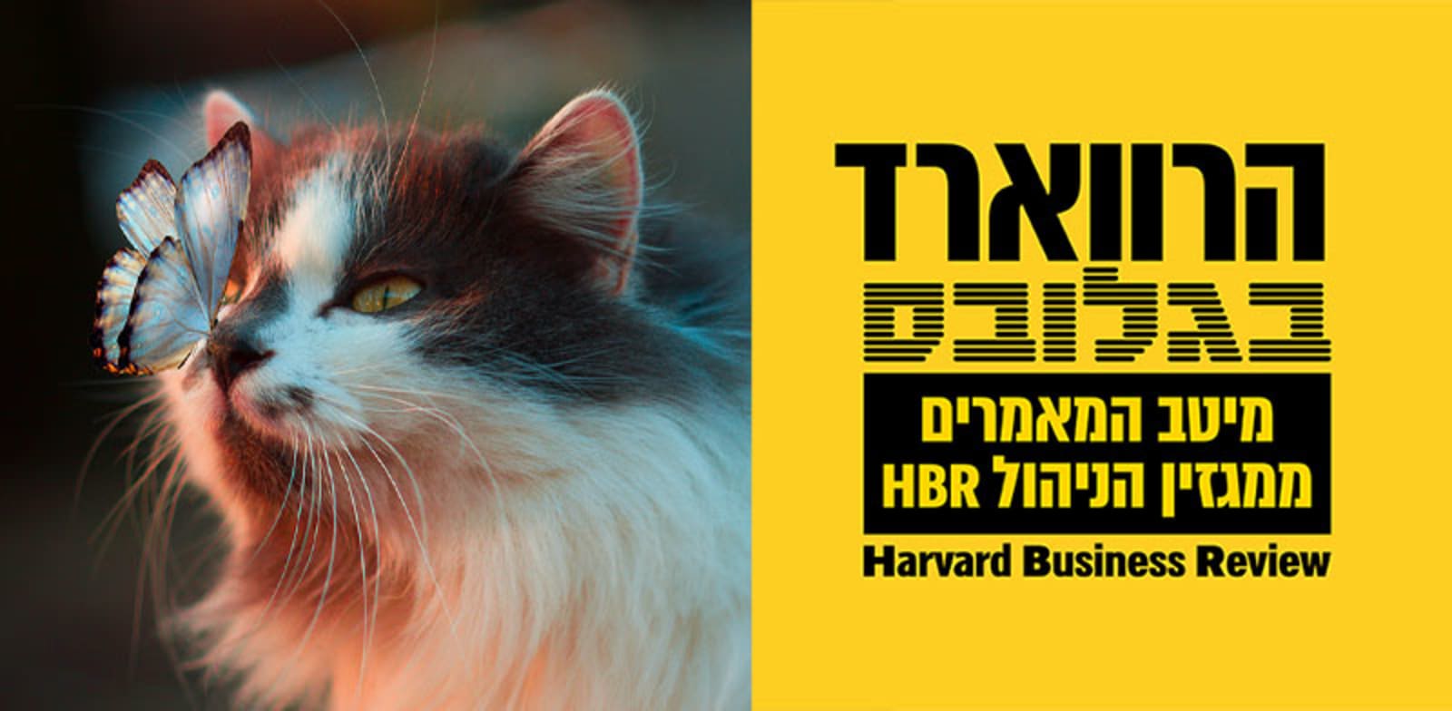 בטחון עצמי / צילום: Unsplash, Karina Vorozheeva