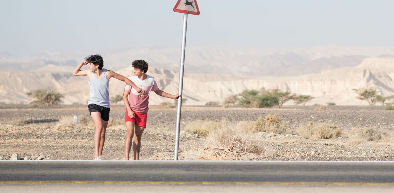 מאור לוי (משמאל) ואור עדי ב''בתולים'' / צילום: באדיבות סרטי יונייטד קינג