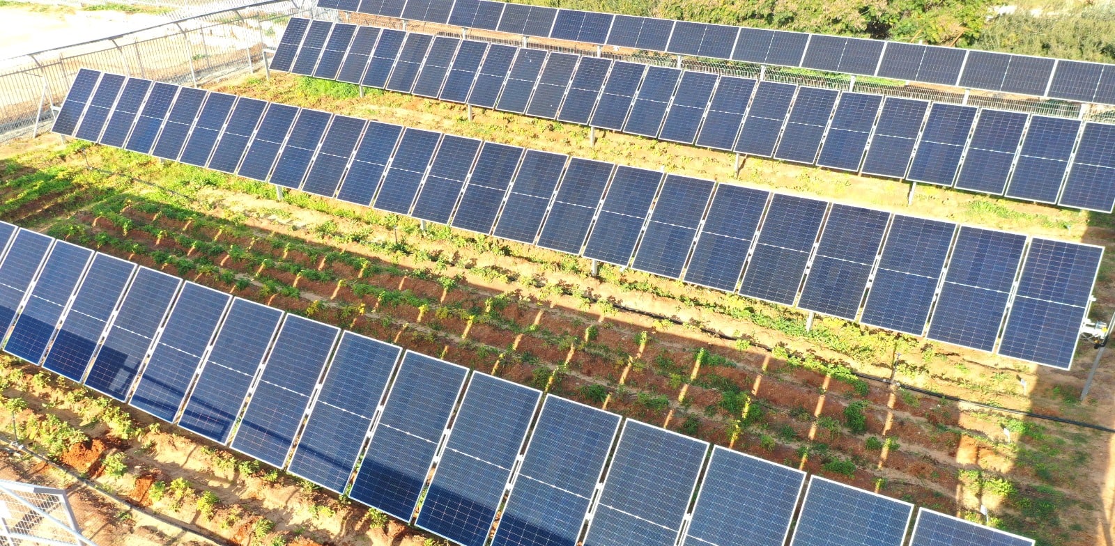 מתקן אנרגיה מתחדשת של דוראל / צילום: חנני לדל, דוראל אנרגיה מתחדשת