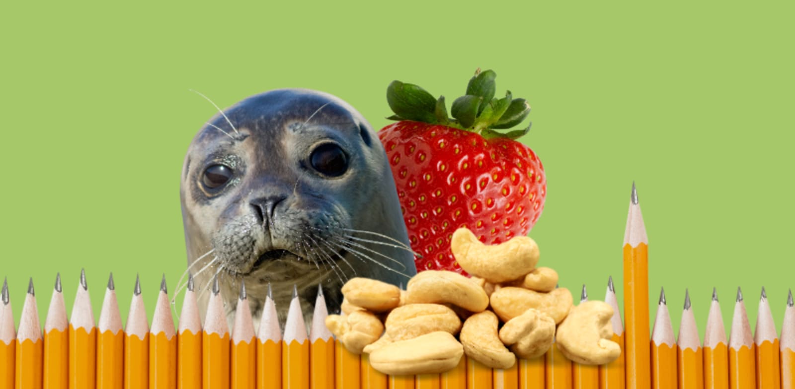 הטריוויה השבועית / צילום: Shutterstock