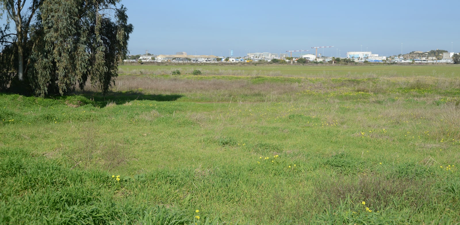 פי גלילות / צילום: איל יצהר