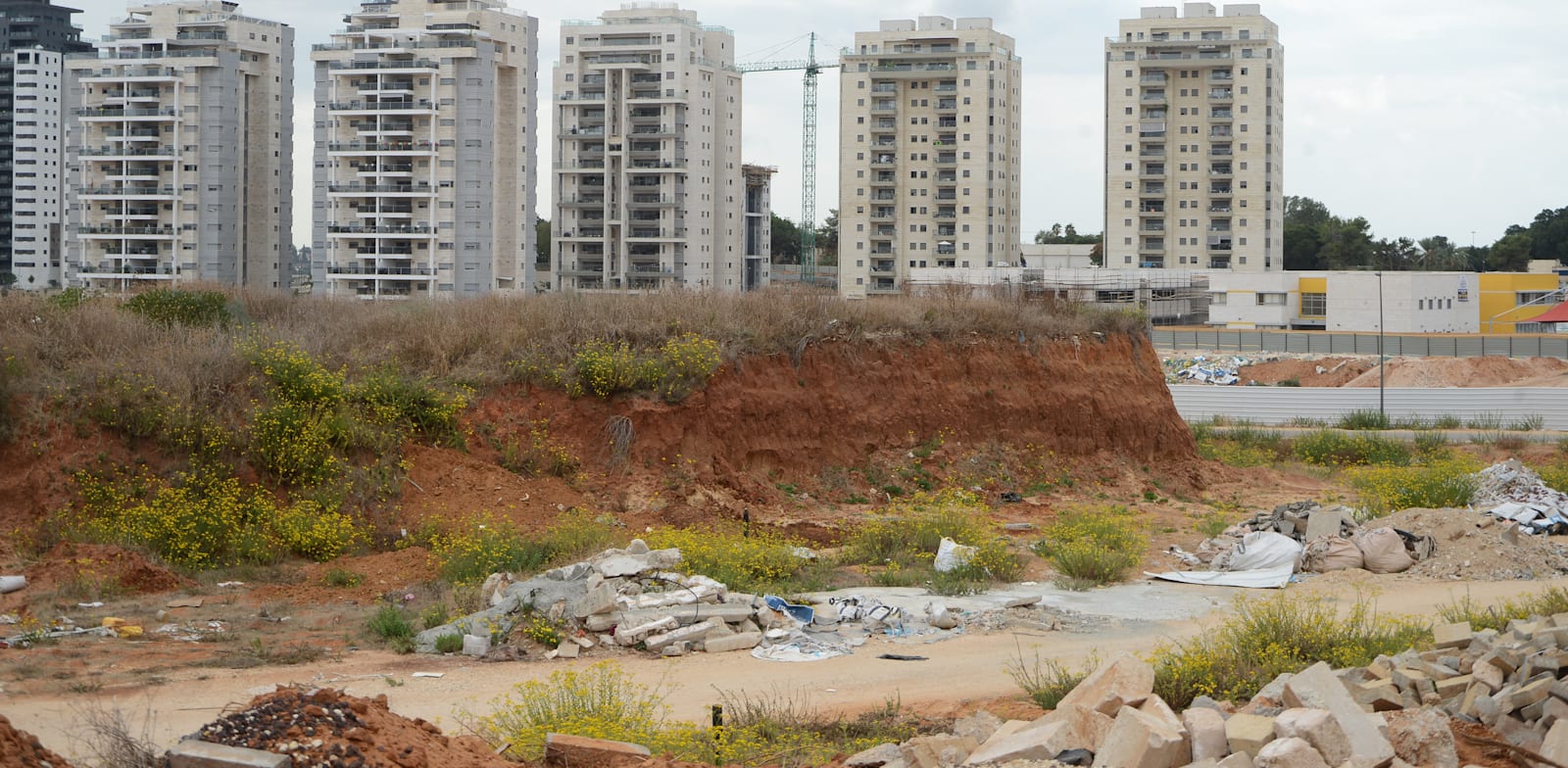 מחיר למשתכן באר יעקב / צילום: איל יצהר