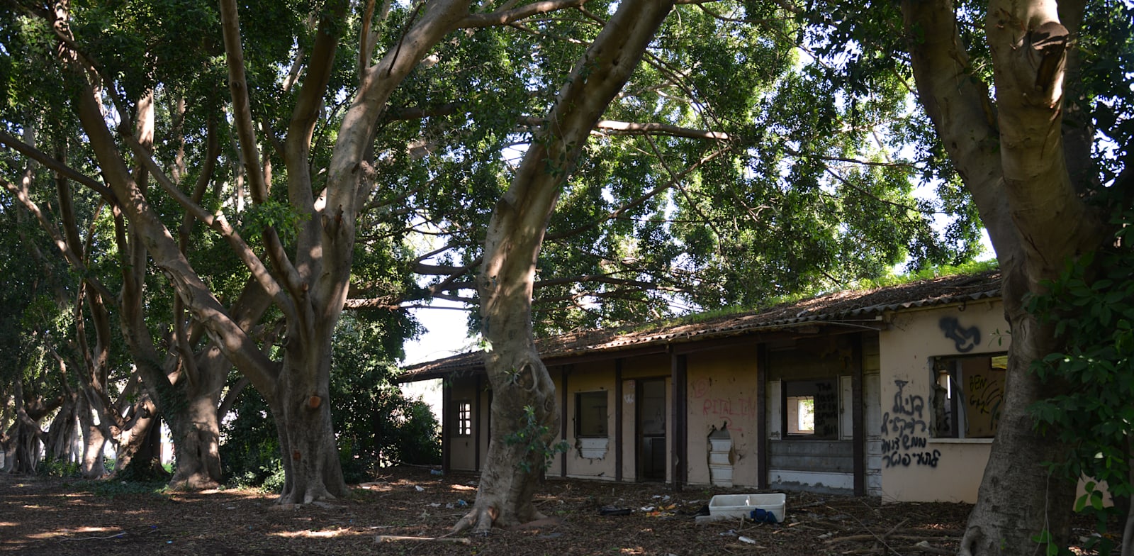 Beit Hana'ara, Hod Hasharon credit: Tamar Matsafi