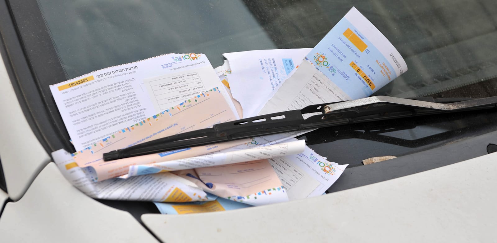 דוחות על חניה לא חוקית / צילום: תמר מצפי