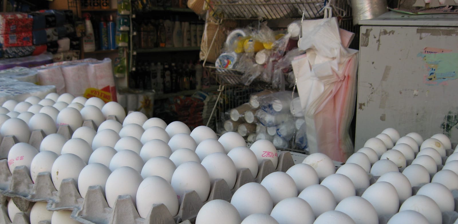 ביצים. בישראל משלמים על ביצים יותר מברוב מדינות העולם / צילום: אורית דיל
