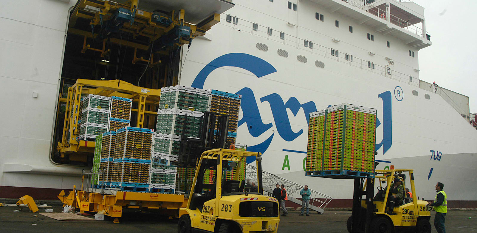 משלוח יצוא בנמל אשדוד / צילום: תמר מצפי