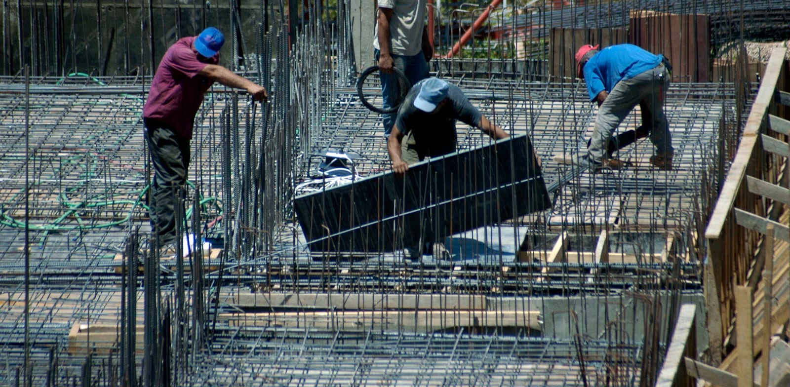 פועלי בניין בעבודה / צילום: תמר מצפי
