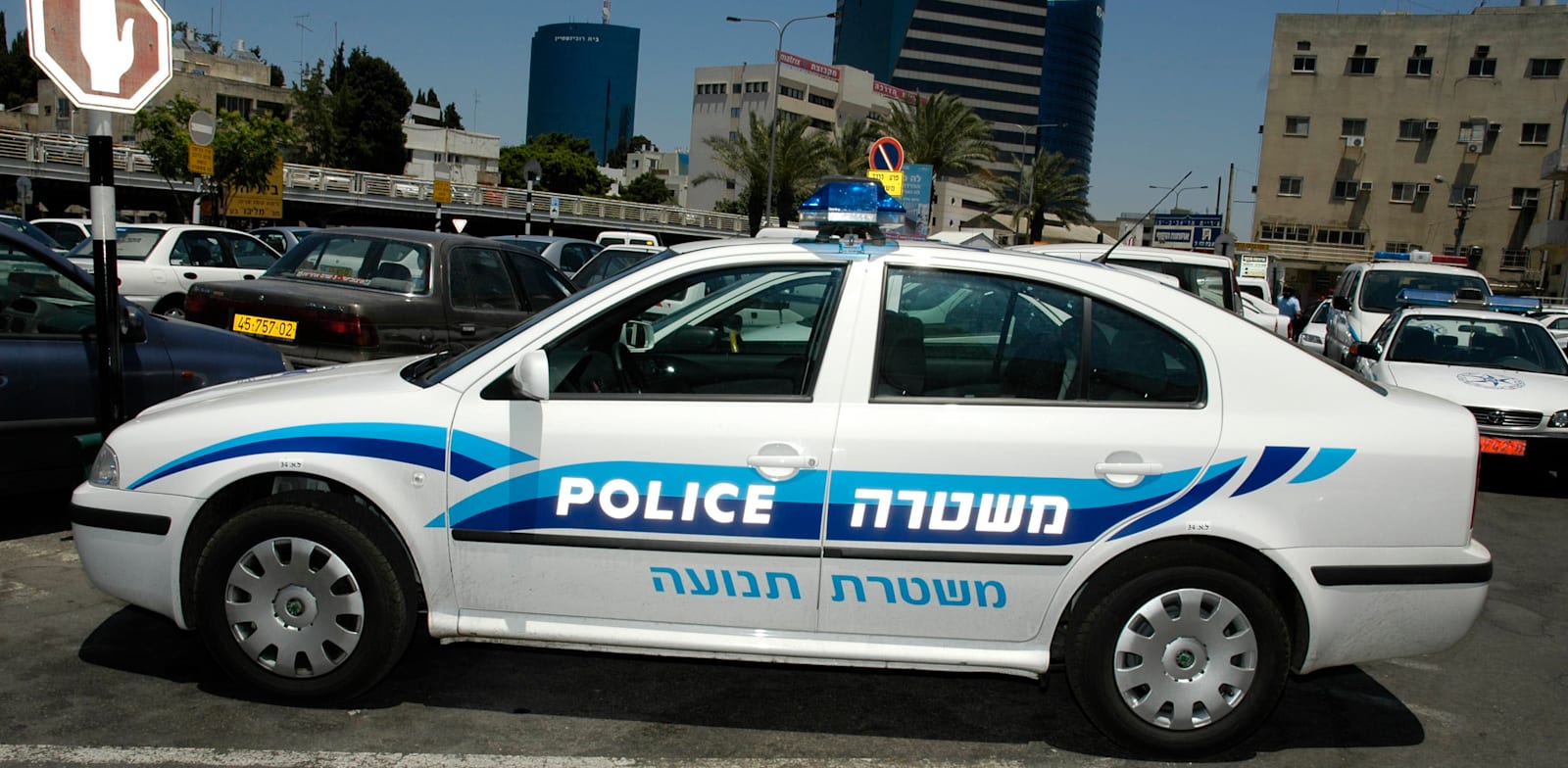 ניידת משטרה / צילום: תמר מצפי