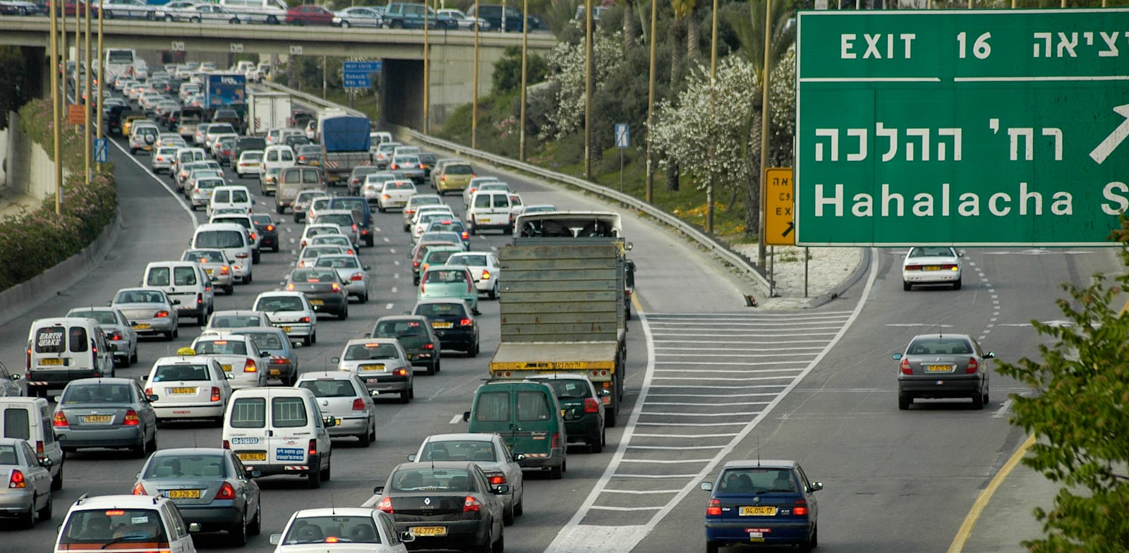 פקקים באילון / צילום: תמר מצפי