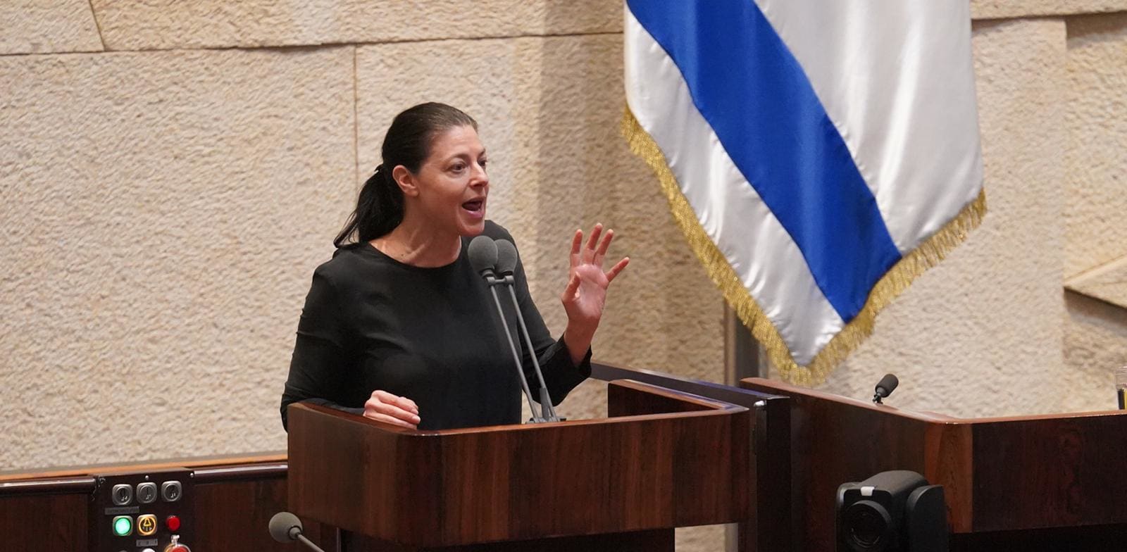 Merav Michaeli  credit: Yonatan Samya