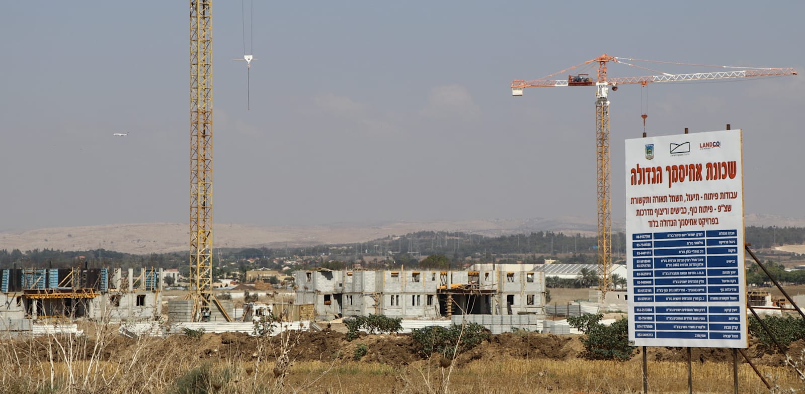 פרויקט מחיר למשתכן בלוד / צילום: אמיר מאירי