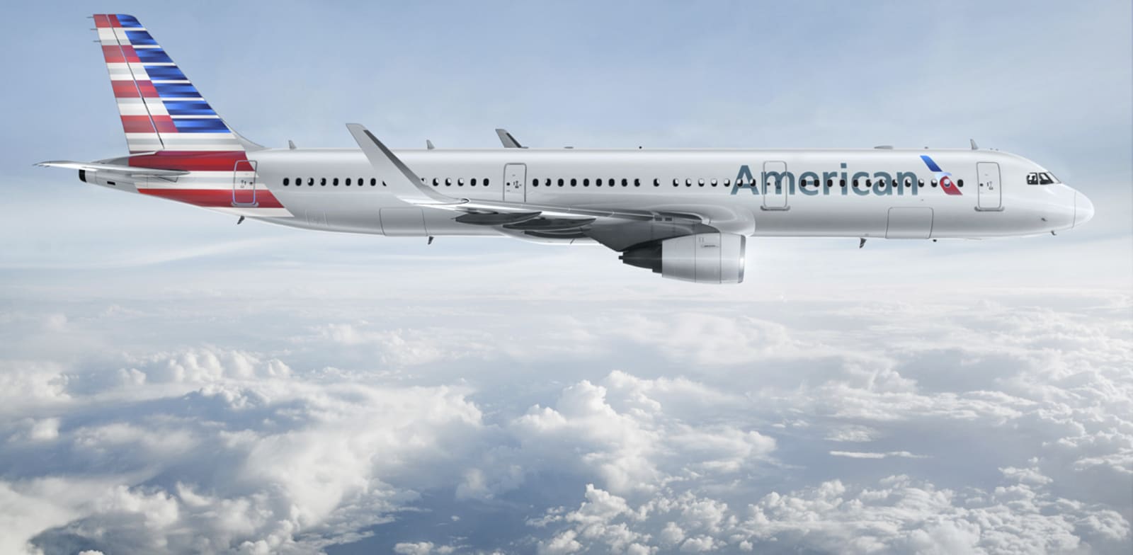 מטוס אמריקן איירליינס / צילום: יח"צ