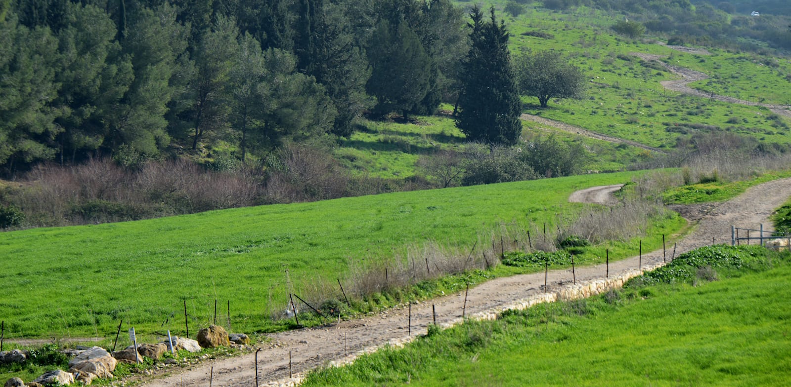 עמק השלום / צילום: איל יצהר