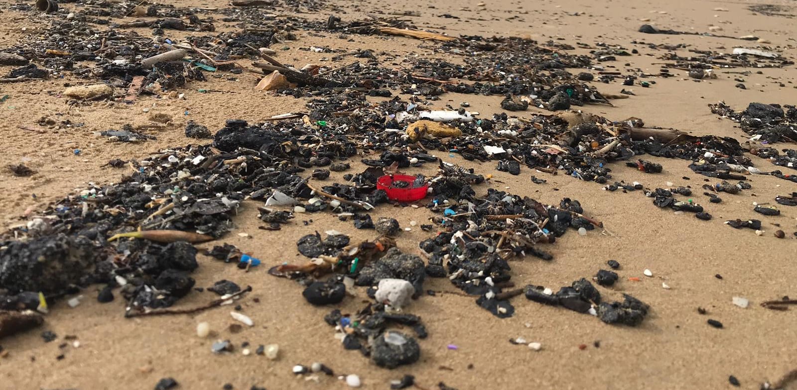 Tar pollution on beach credit: Shani Ashkenazi