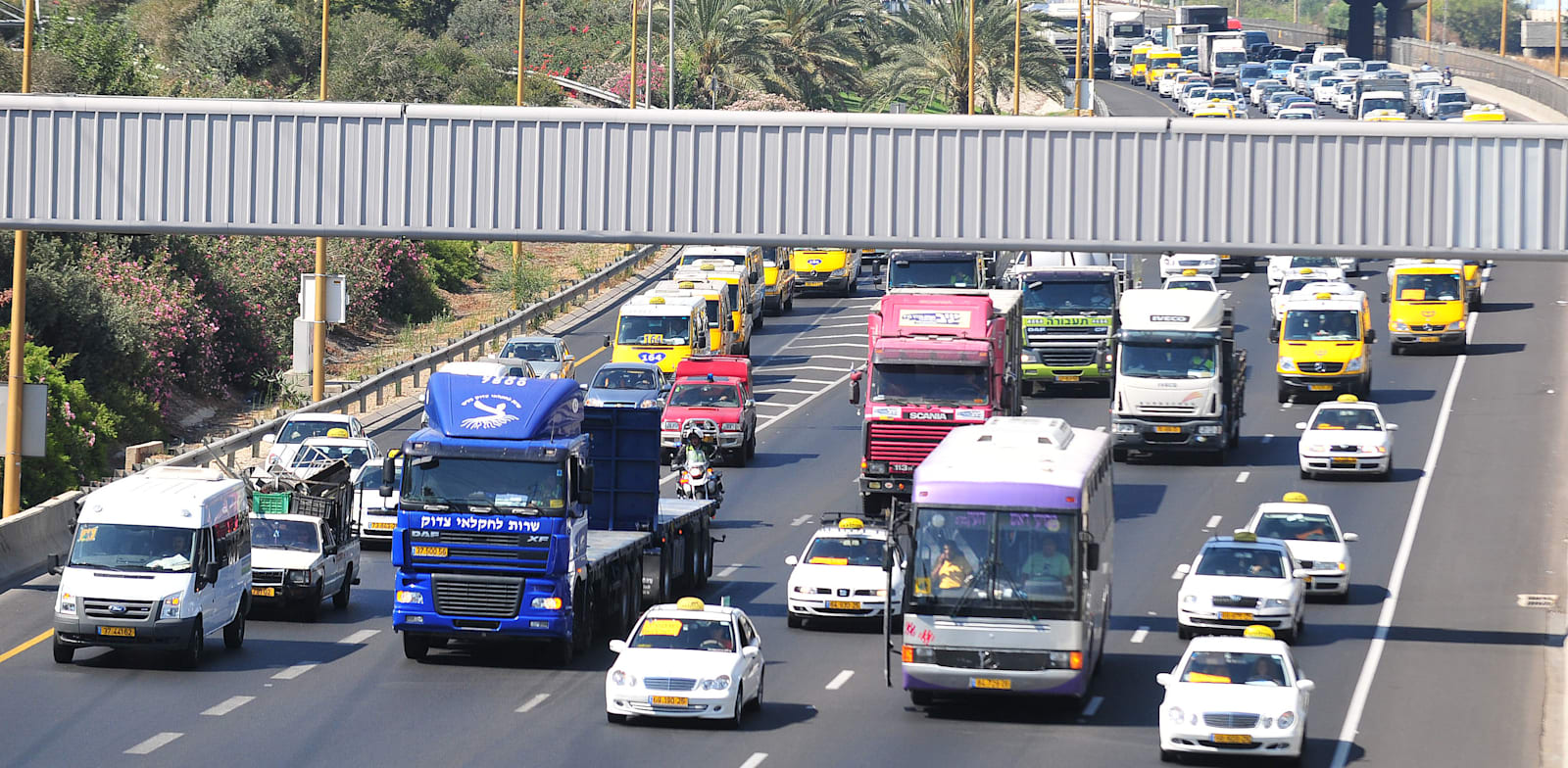 המס התופח על הדלק למשאיות פוגע בסופו של יום בכיס של הצרכנים / צילום: תמר מצפי