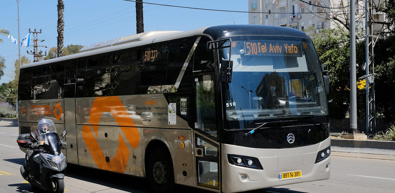 אוטובוס של מטרופולין / צילום: איל יצהר