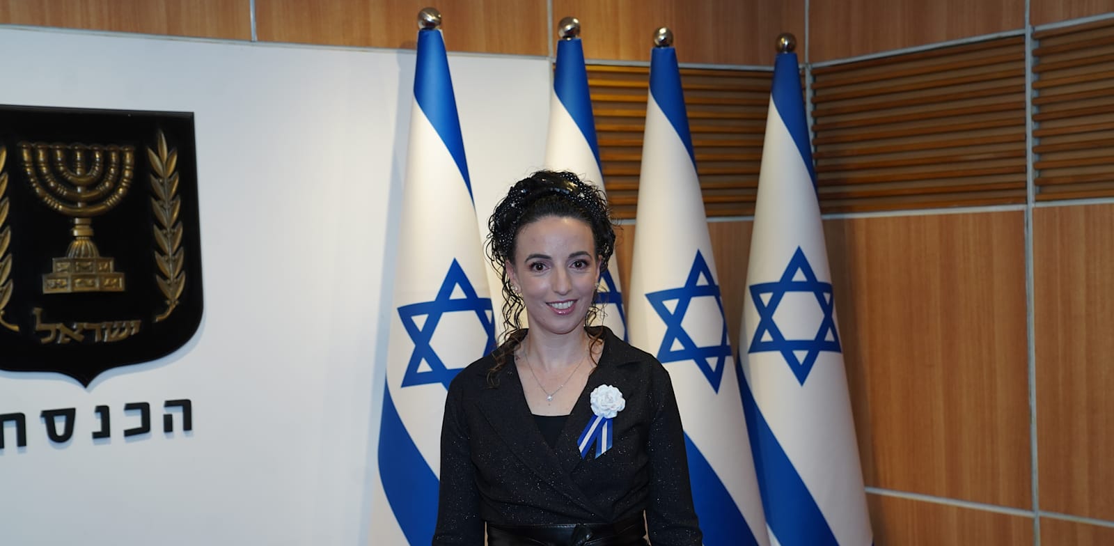 עידית סילמן / צילום: דוברות הכנסת, דני שם טוב